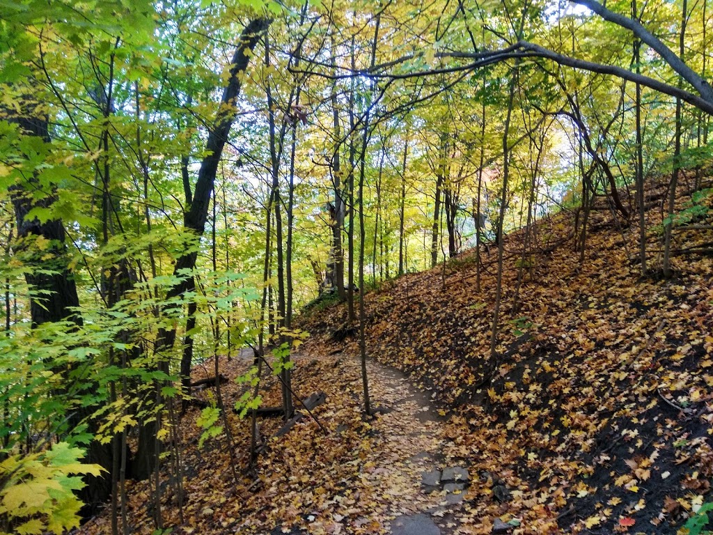 Crothers Woods | Crothers Woods Trail, East York, ON M4H 1P6, Canada | Phone: (416) 392-2489