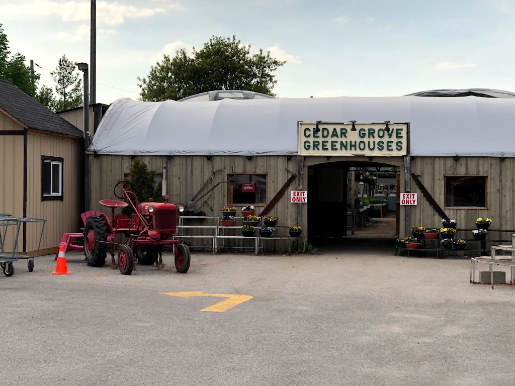 Cedar Grove Greenhouse | 7702 14th Ave, Markham, ON L6B 1A8, Canada | Phone: (905) 294-5917