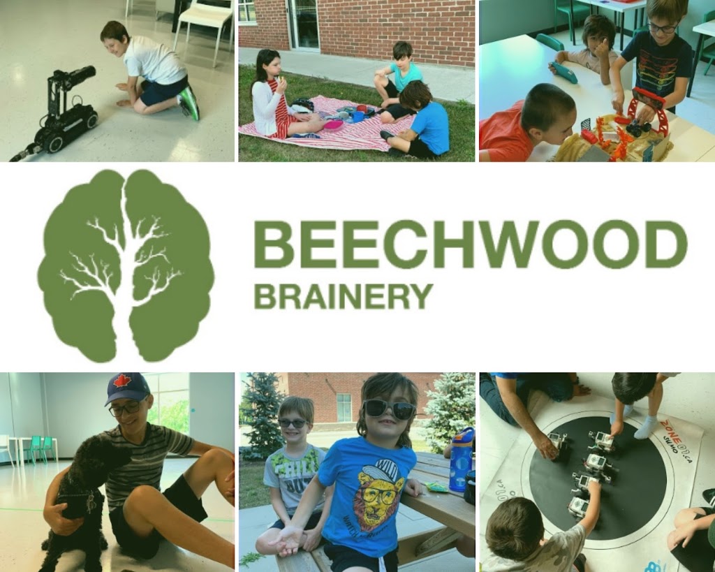 Beechwood Brainery | 745 Coronation Blvd #204, Cambridge, ON N1R 7R1, Canada | Phone: (519) 624-8728