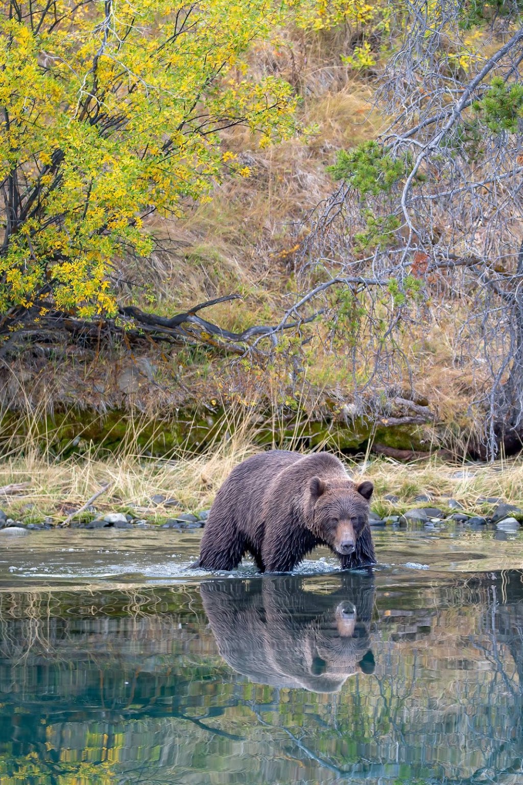 Tsylos Park Lodge & Adventures | Chilko Lake, Cariboo, BC V0L 1W0, Canada | Phone: (250) 483-4368