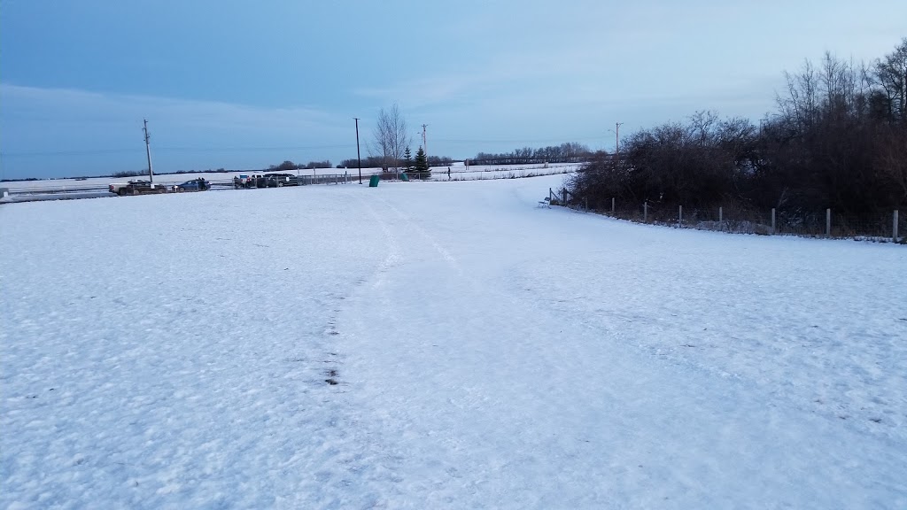 Cpl. Jim Galloway Memorial Off Leash Area | 41 Century Close, Spruce Grove, AB T7X 3B3, Canada