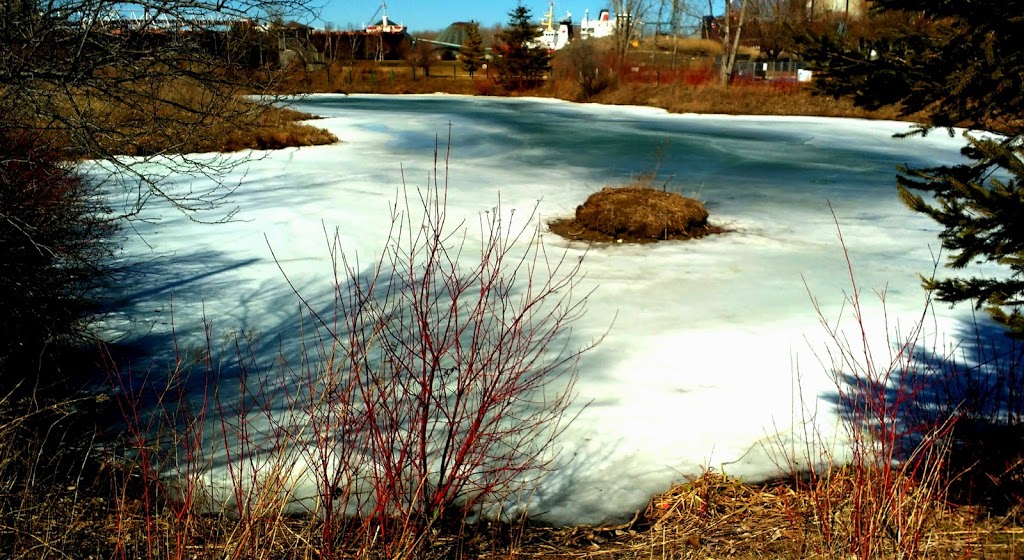 Lambton College Legacy Project - Sarnia Point Lands | Sarnia, ON N7T 8A5, Canada | Phone: (519) 542-7751