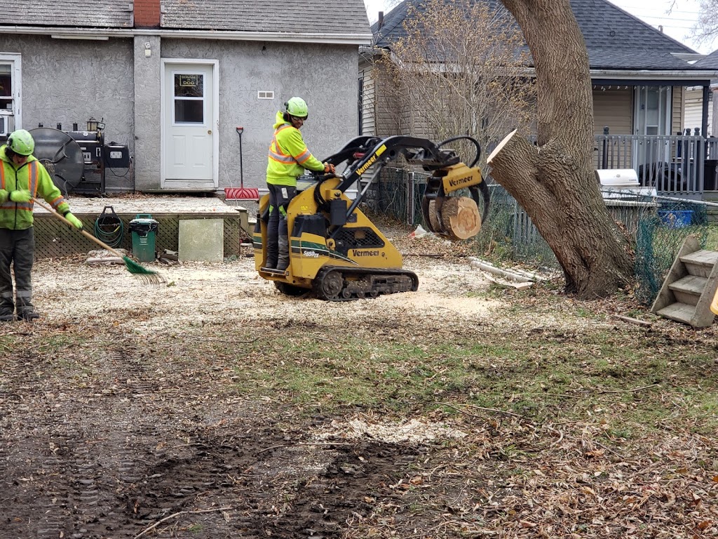 St. Catharines Tree Service | 14 Walsh Ave, St. Catharines, ON L2M 2M1, Canada | Phone: (905) 658-6586