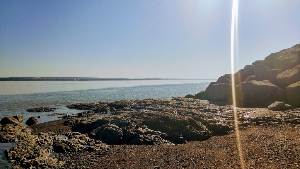 Quai de Saint-Jean | 3 Chemin du Quai, Saint-Jean-de-lÎle-dOrléans, QC G0A 3W0, Canada