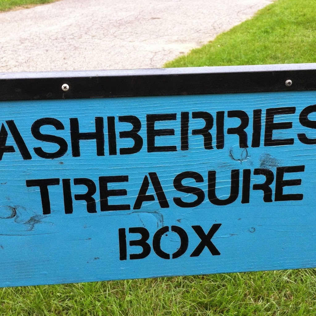 Ashberries Treasure Box | 767 Brantford Rd, La Salette, ON N0E 1H0, Canada | Phone: (226) 931-2580