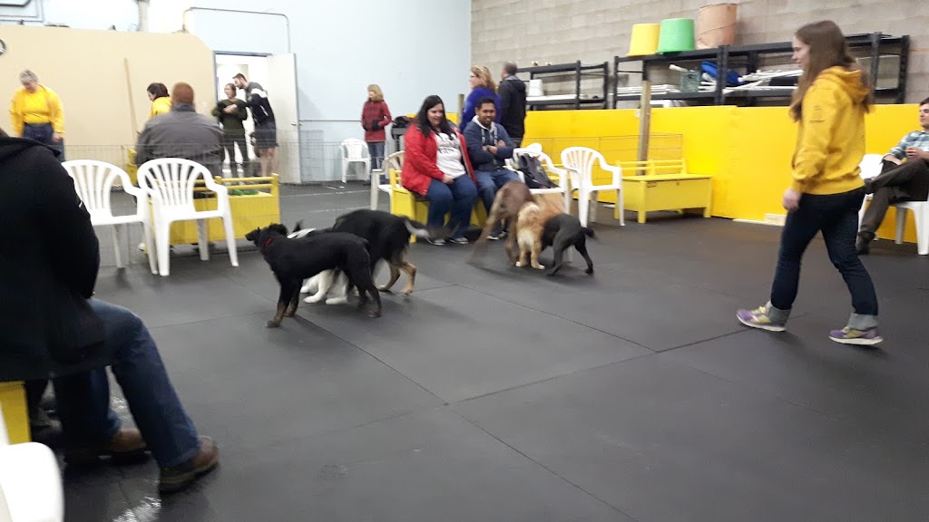 Sit Happens! Companion Dog Training | 2180 Pegasus Way NE #4, Calgary, AB T2E 8M5, Canada | Phone: (403) 408-7309