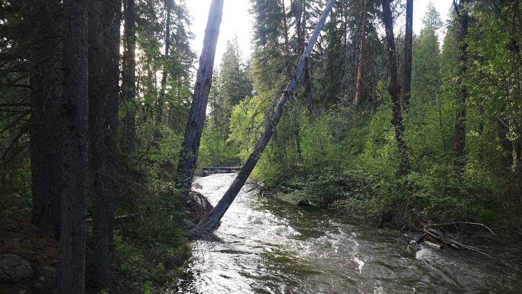 Cherry Creek Rest Area | Kimberley Hwy, Kimberley, BC V1A 3L5, Canada | Phone: (800) 663-7867