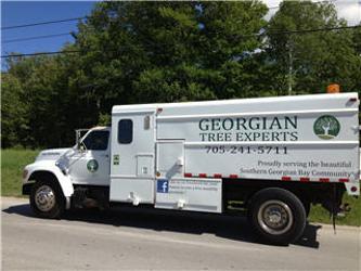 Georgian Tree Experts | 243 Dominion Dr, Stayner, ON L0M 1S0, Canada | Phone: (705) 241-5711