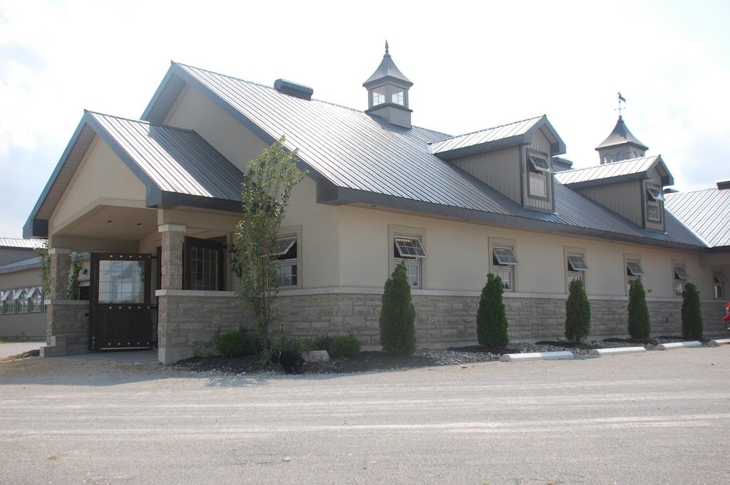 Top Rail Stables Inc. | 16406 5 Sideroad, Norval, ON L0P 1K0, Canada | Phone: (905) 877-8007