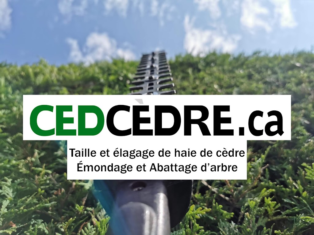 CedCedre.ca | 732 Rue des Érables, Mascouche, QC J7L 3G5, Canada | Phone: (514) 506-9633