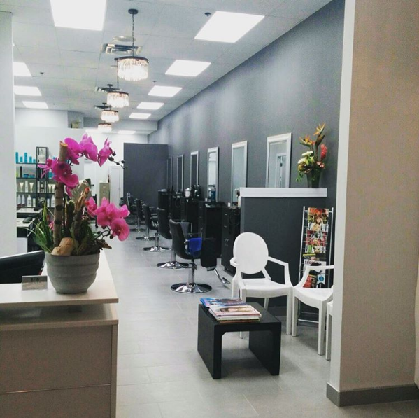 Premier Hair Centre | 700 Lawrence Ave W, North York, ON M6A 3B4, Canada | Phone: (416) 256-1448