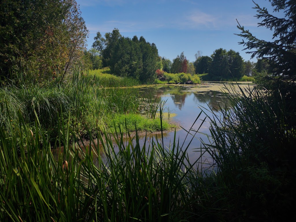 Nawautin Nature Sanctuary | 100 Keewatin Dr, Grafton, ON K0K 2G0, Canada | Phone: (613) 827-4263