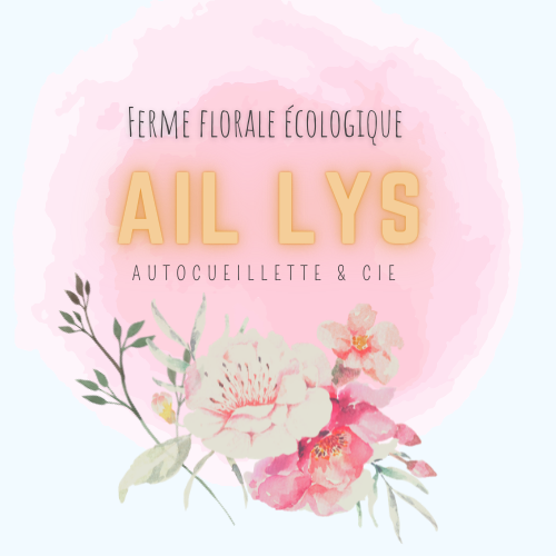 Ail Lys ferme florale | 564B Rang des Sloan, Saint-Édouard, QC J0L 1Y0, Canada | Phone: (514) 707-1116