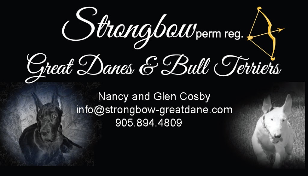 Great Danes & Bull Terriers by Strongbow Dog Breeder | 4594 ON-3, Sherkston, ON L0S 1R0, Canada | Phone: (905) 894-4809