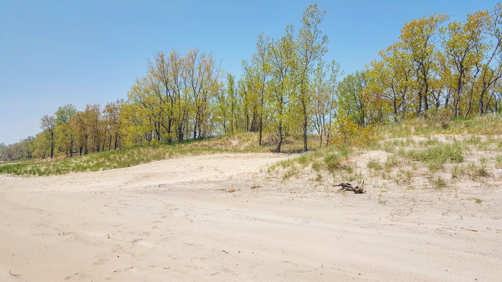 Long Point Birding Trail 6 (Crown Marsh) | Erie Blvd, Port Rowan, ON N0E 1M0, Canada