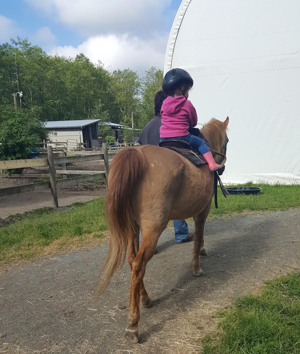 Hazelmere Acres Preschool & Daycare | 257 192 St, Surrey, BC V3S 9R9, Canada | Phone: (604) 536-6367