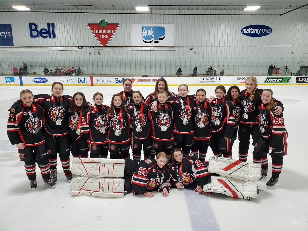 Oakville Hornets Girls Hockey Association | 1663 North Service Rd E, Oakville, ON L6H 7T1, Canada | Phone: (905) 337-8800