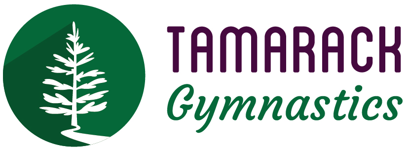 Tamarack Gymnastics | 34062 Rd 33E Unit 1, Mitchell, MB R5G 2R4, Canada | Phone: (204) 998-7314