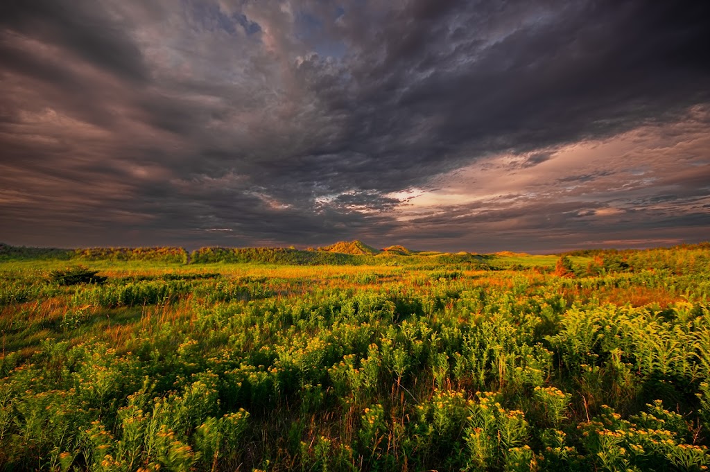 Cavendish Dunelands Trail, Prince Edward Island National Park | 590 Grahams Ln, Cavendish, PE C0A 1Mn, Canada | Phone: (902) 672-6350