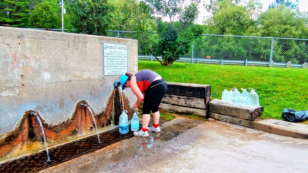 Spring Water | 11301 Lake Ridge Rd, Port Perry, ON L9L 1V8, Canada