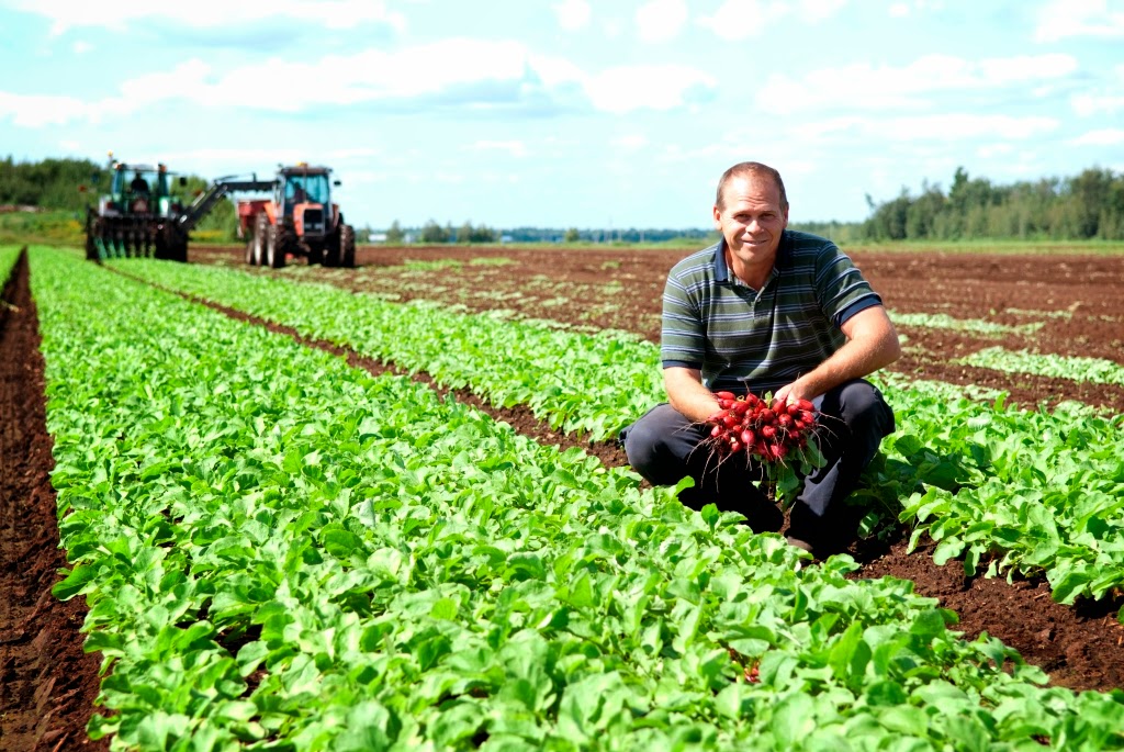 Jardins A Guérin & Fils Inc (Les) | 129 Rang Sainte-Mélanie, Sherrington, QC J0L 2N0, Canada | Phone: (450) 454-4939