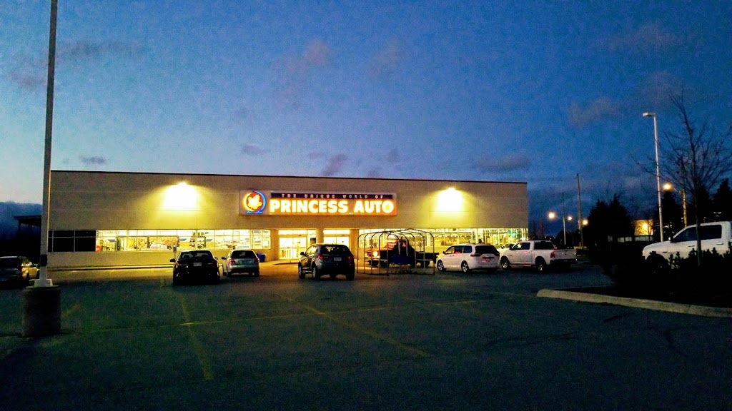 Princess Auto | 356 Bryne Dr, Barrie, ON L4N 8X1, Canada | Phone: (705) 739-0575