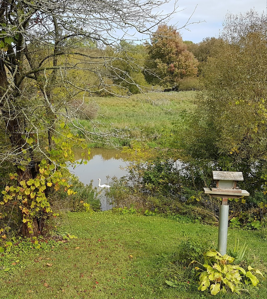 Waterfront Trail | 0A5, Waterfront Trail, Newcastle, ON L1B 0A3, Canada