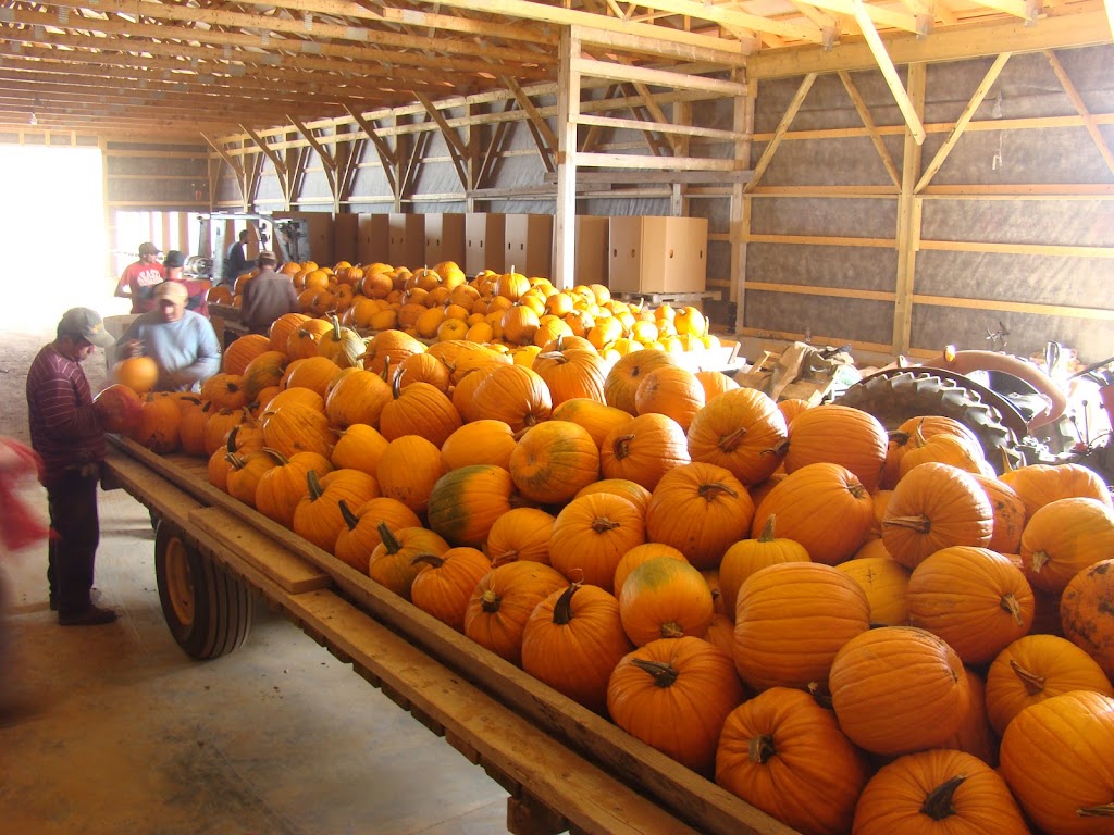 Gouchers Farm Market | 14935, Nova Scotia Trunk 1, Wilmot, NS B0P 1W0, Canada | Phone: (902) 242-3422