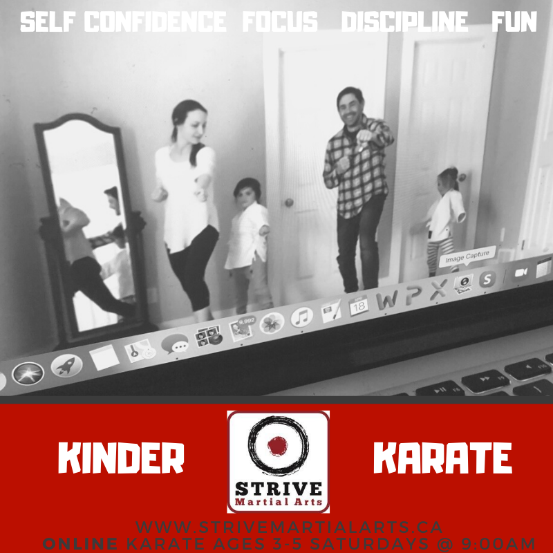 Strive Martial Arts | 3955 Old Richmond Rd, Nepean, ON K2H 5C5, Canada | Phone: (613) 859-0702