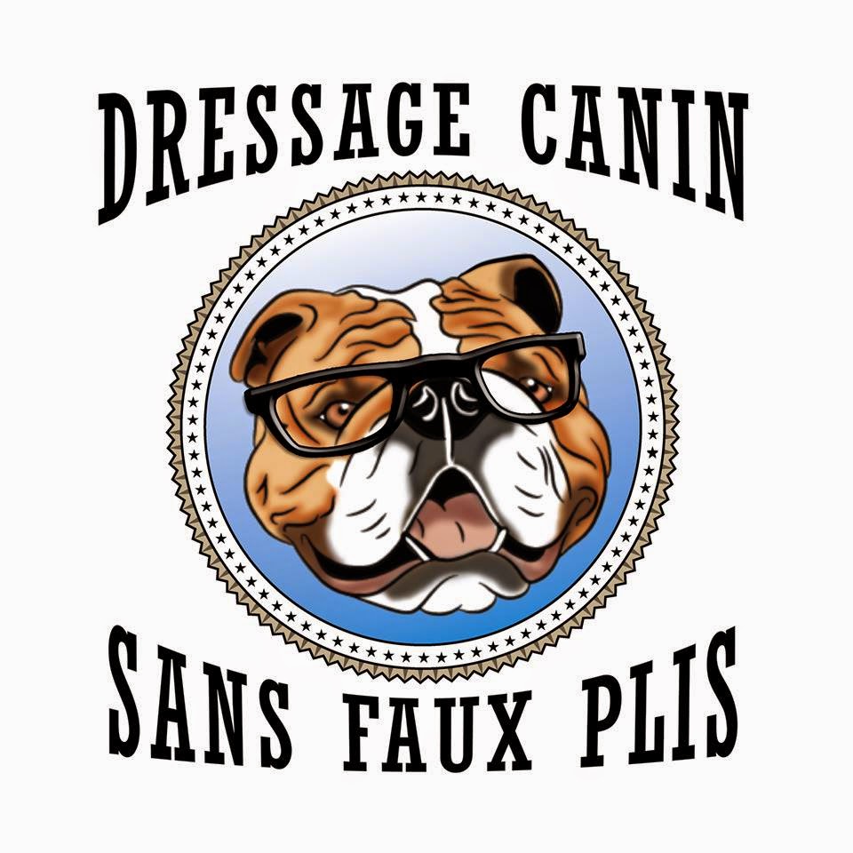 Dressage Canin Sans Faux Plis | Av. des Trois Rivières, Laval, QC H7E 4S1, Canada | Phone: (514) 686-6908