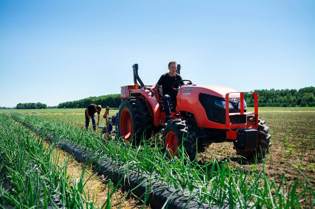 Ferme Des Ormes | 175 Rang du Chenal Tardif, Pierreville, QC J0G 1J0, Canada | Phone: (450) 568-3709