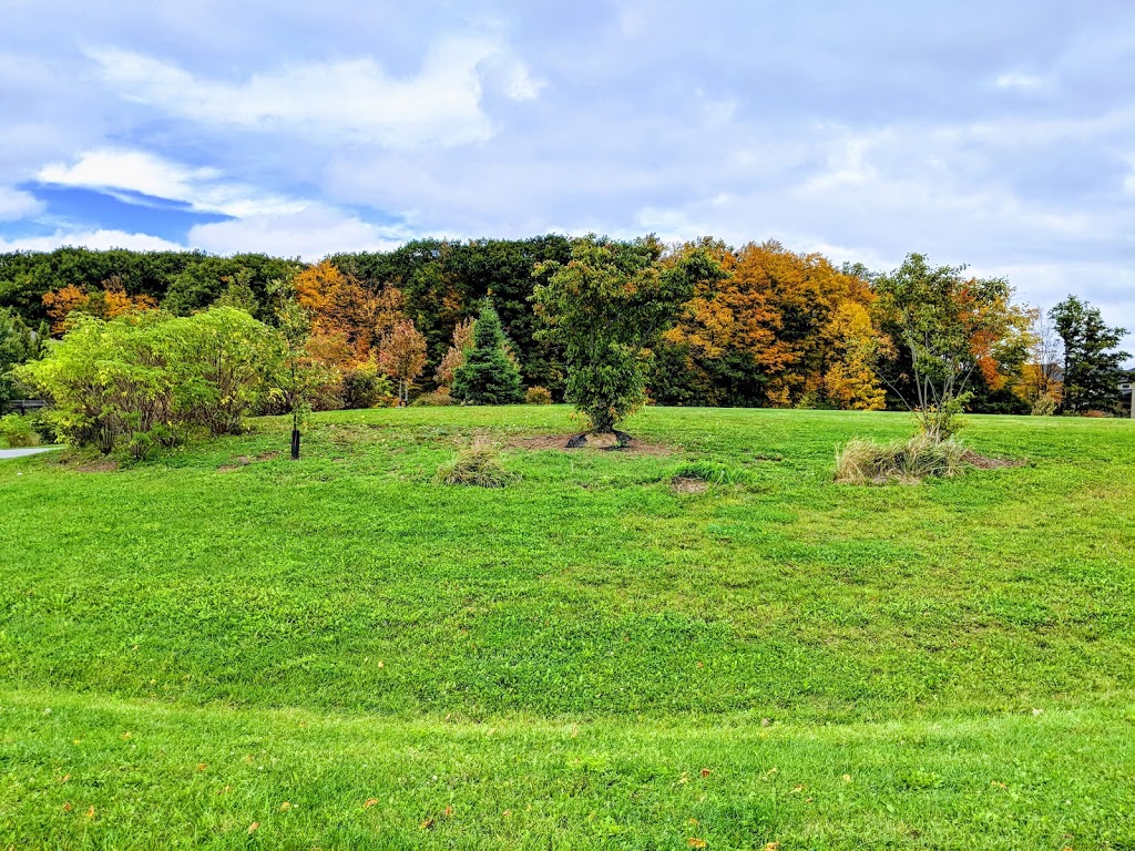 Pierre Berton Park | Vaughan, ON L4H 0X2, Canada