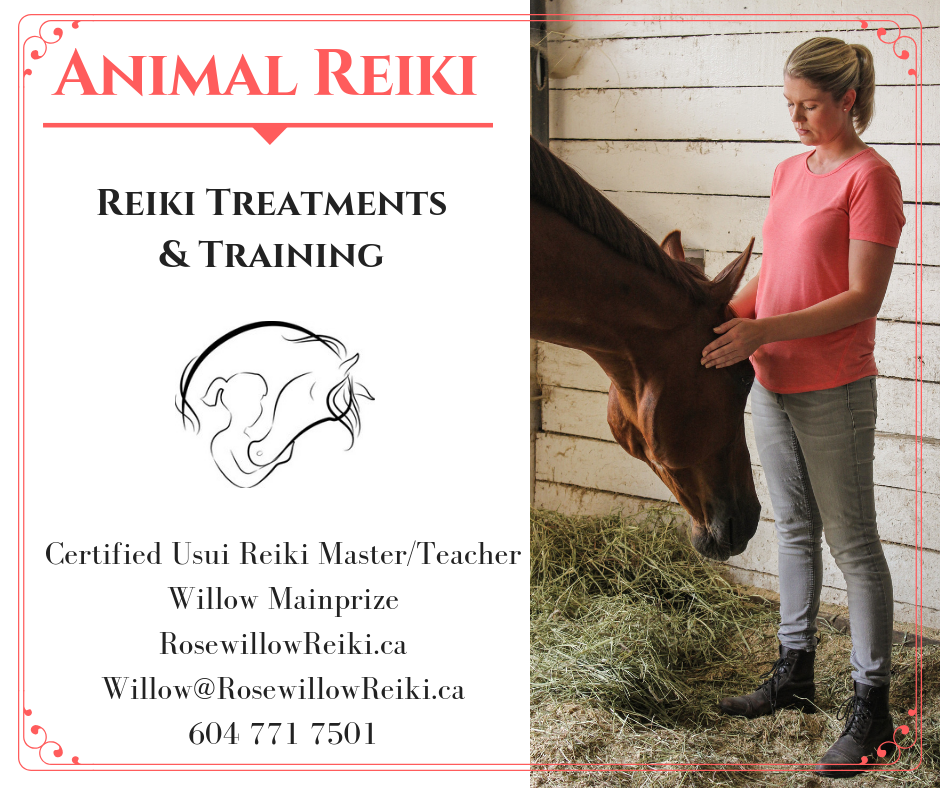 Rosewillow Reiki Delta | 5204 57a St, Delta, BC V4K 3H1, Canada | Phone: (604) 771-7501