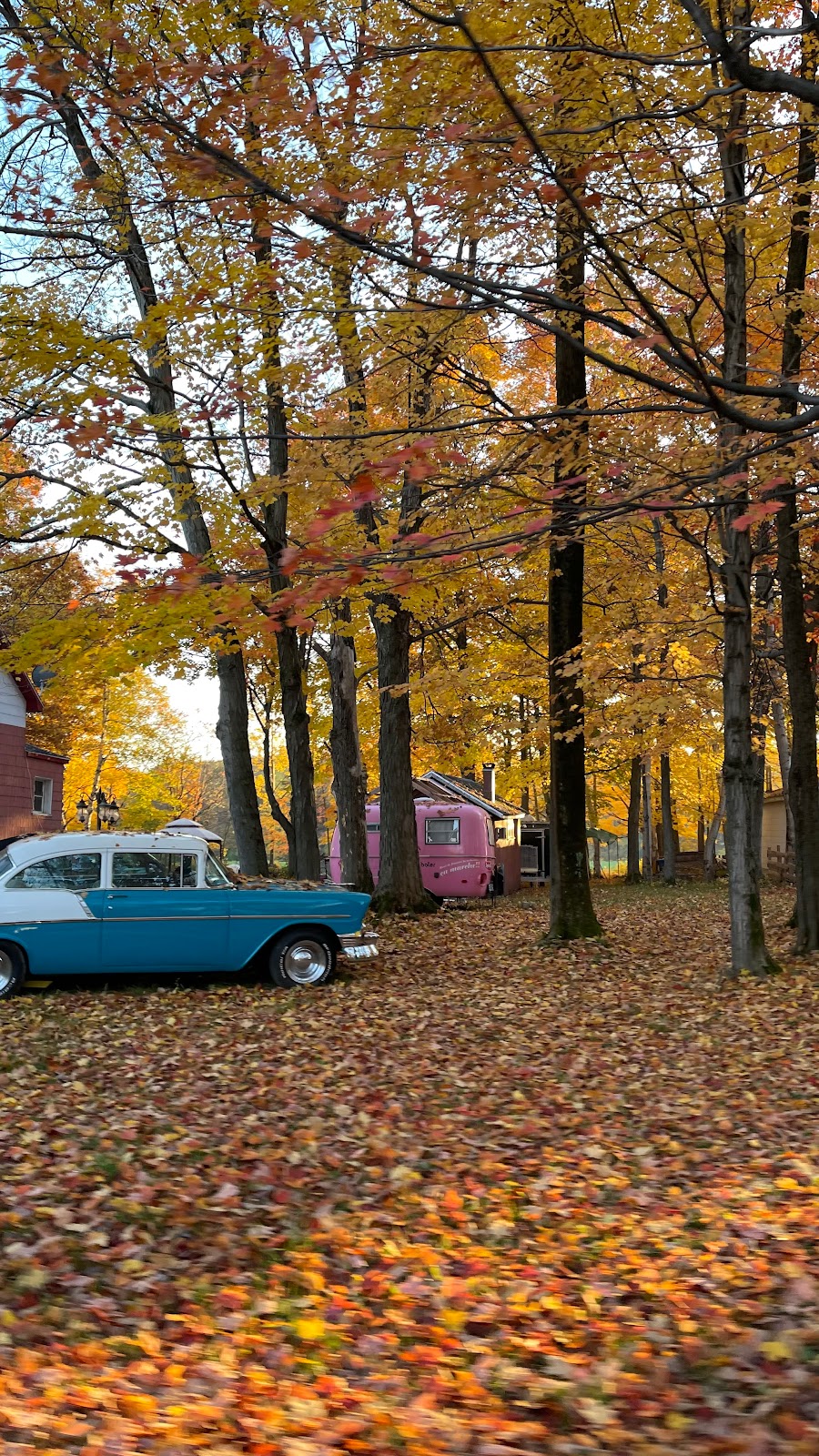 Racines Nomades | Rue dOrléans, Sainte-Pétronille, QC G0A 4C0, Canada | Phone: (581) 992-0900