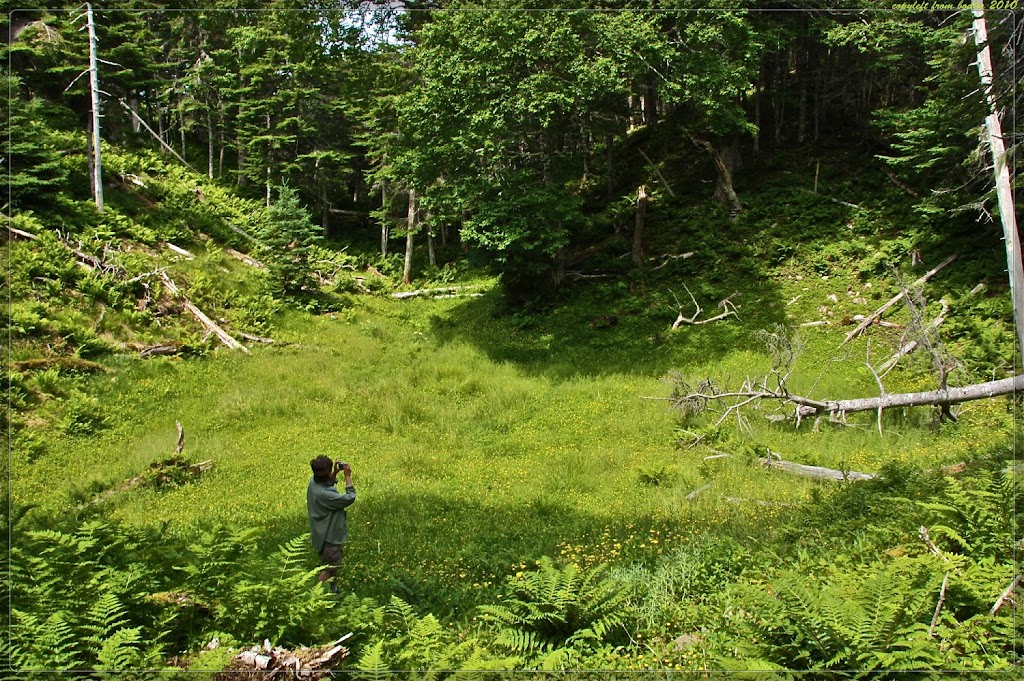 OReilly House Museum | 48 Orcan Dr, Placentia, NL A0B 2Y0, Canada | Phone: (709) 227-5568