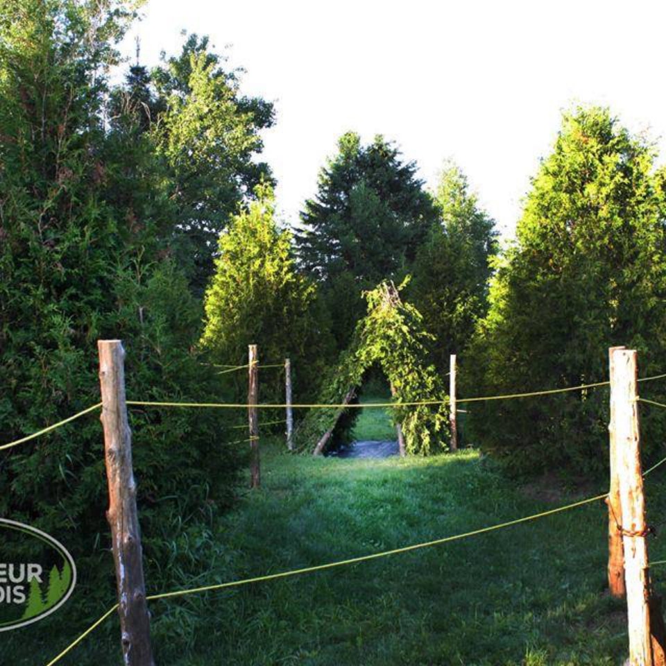 Labyrinthe coureur des bois | 1320 Chemin St Joseph, Saint-Mathieu-du-Parc, QC G0X 1N0, Canada | Phone: (819) 532-2068