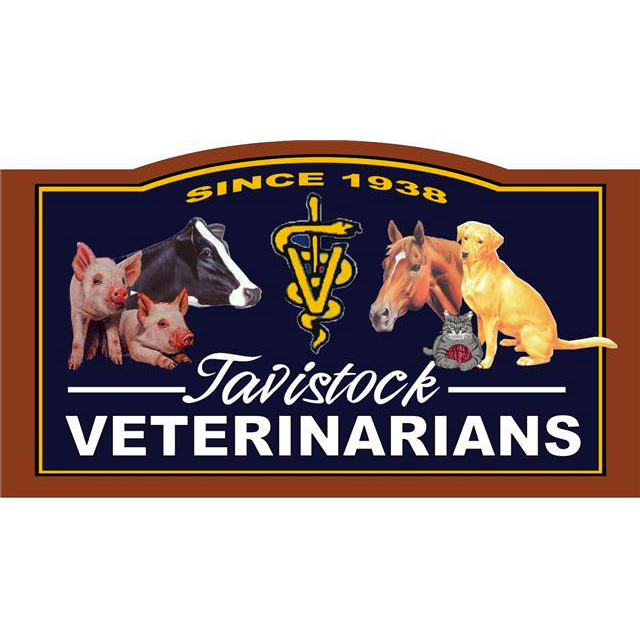 Tavistock Veterinary Services LTD | 25 Hope St E, Tavistock, ON N0B 2R0, Canada | Phone: (519) 655-2421