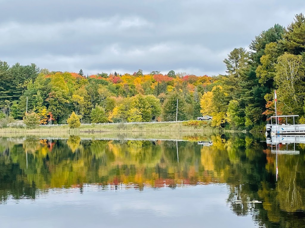 Lighthouse Landing Camp | 3739 ON-520, Burks Falls, ON P0A 1C0, Canada | Phone: (705) 387-4626