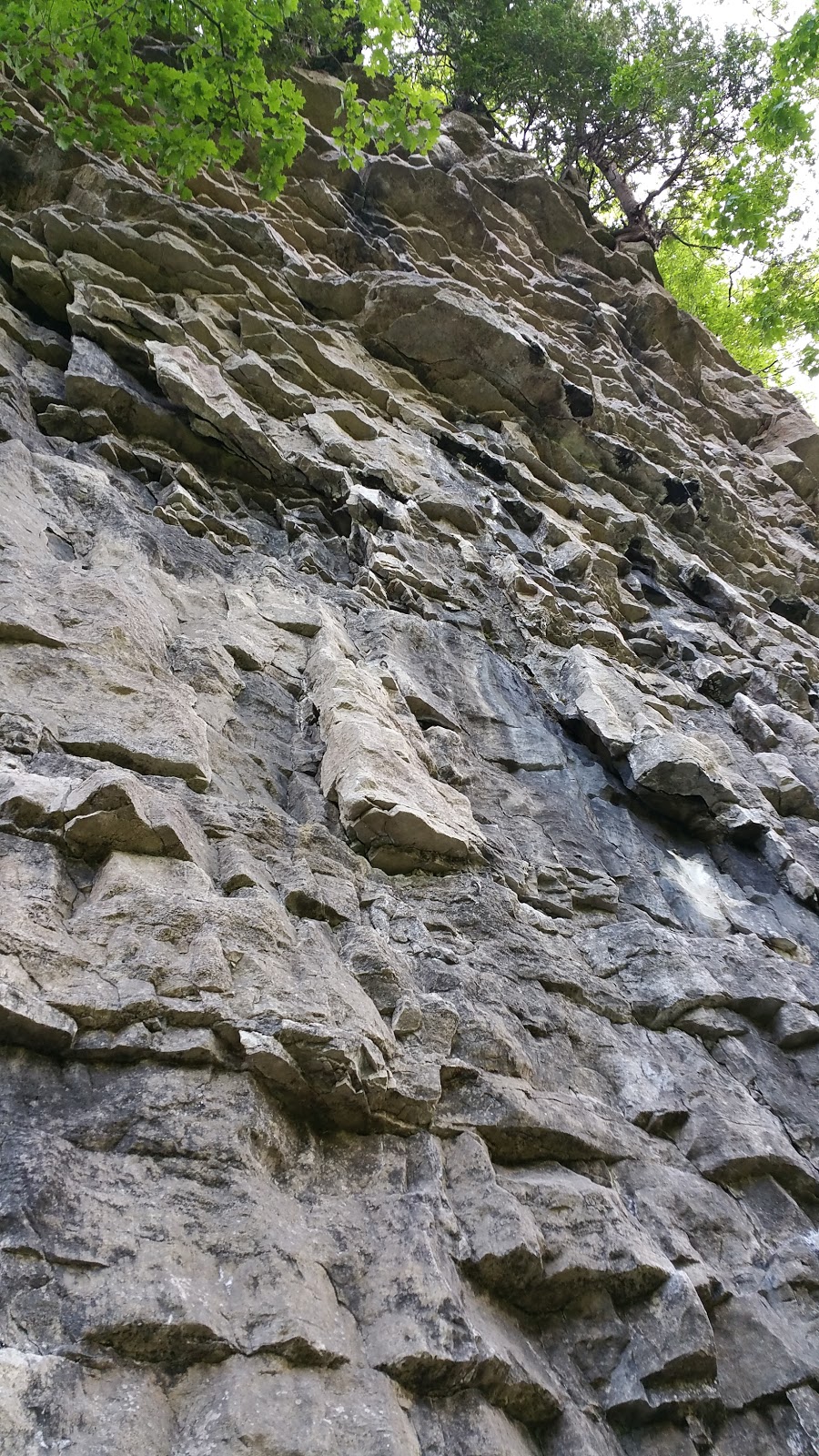 The Turtle Climbing Crag | Burlington, ON L7M 0T7, Canada | Phone: (905) 336-1158