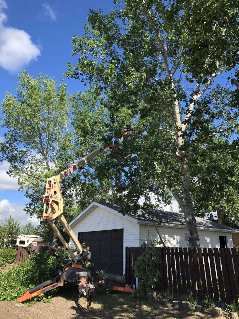 KBG landscaping and tree services | Box 133, 308 7 Ave W, Hanna, AB T0J 1P0, Canada | Phone: (403) 854-1159