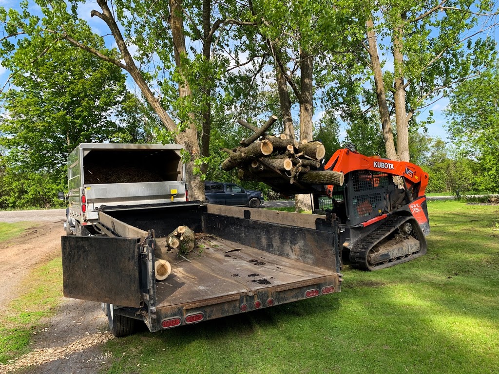 VS Tree Services | 4886 Bank St, Gloucester, ON K1X 1G7, Canada | Phone: (613) 774-5296