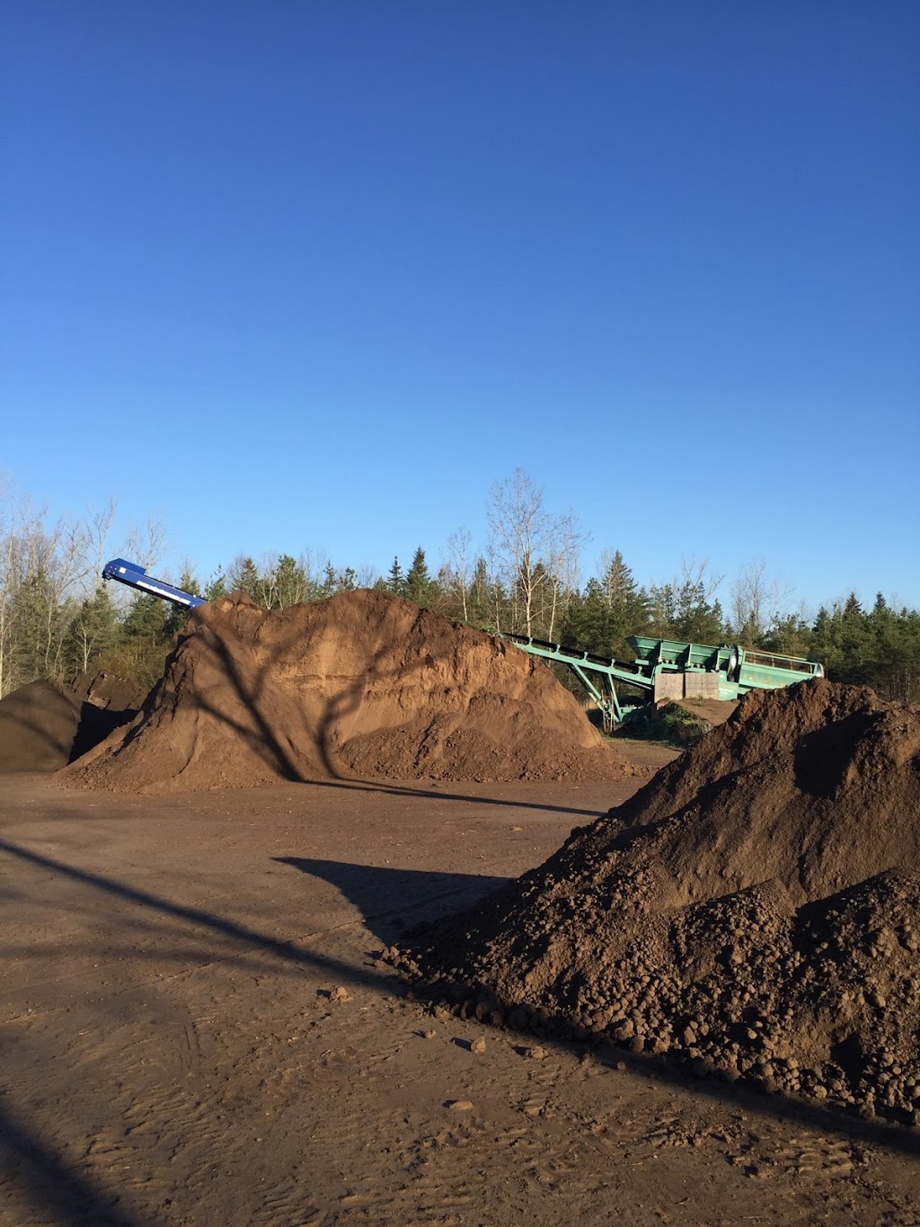 DiMartile Farms - Topsoil and Christmas Trees | 257 Chantler Rd, Welland, ON L3B 5N8, Canada | Phone: (905) 734-4870
