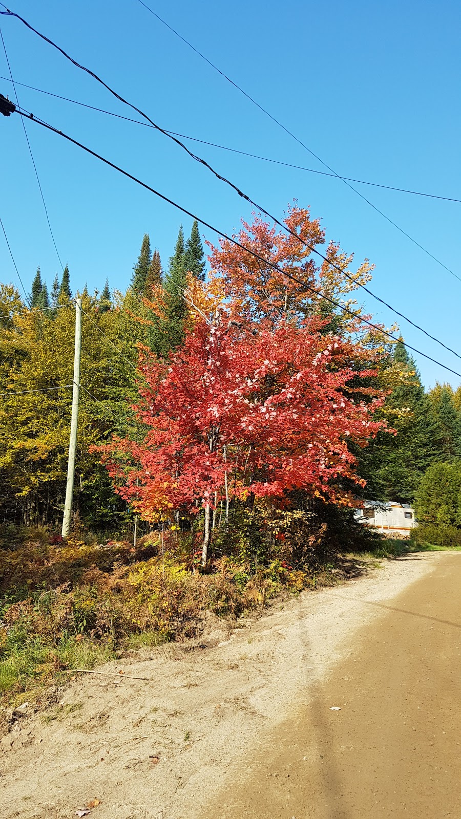 Chalet à louer Les Laurentides Domaine R Monette | Impasse des Rapides, Amherst, QC J0T 2L0, Canada | Phone: (450) 582-2789