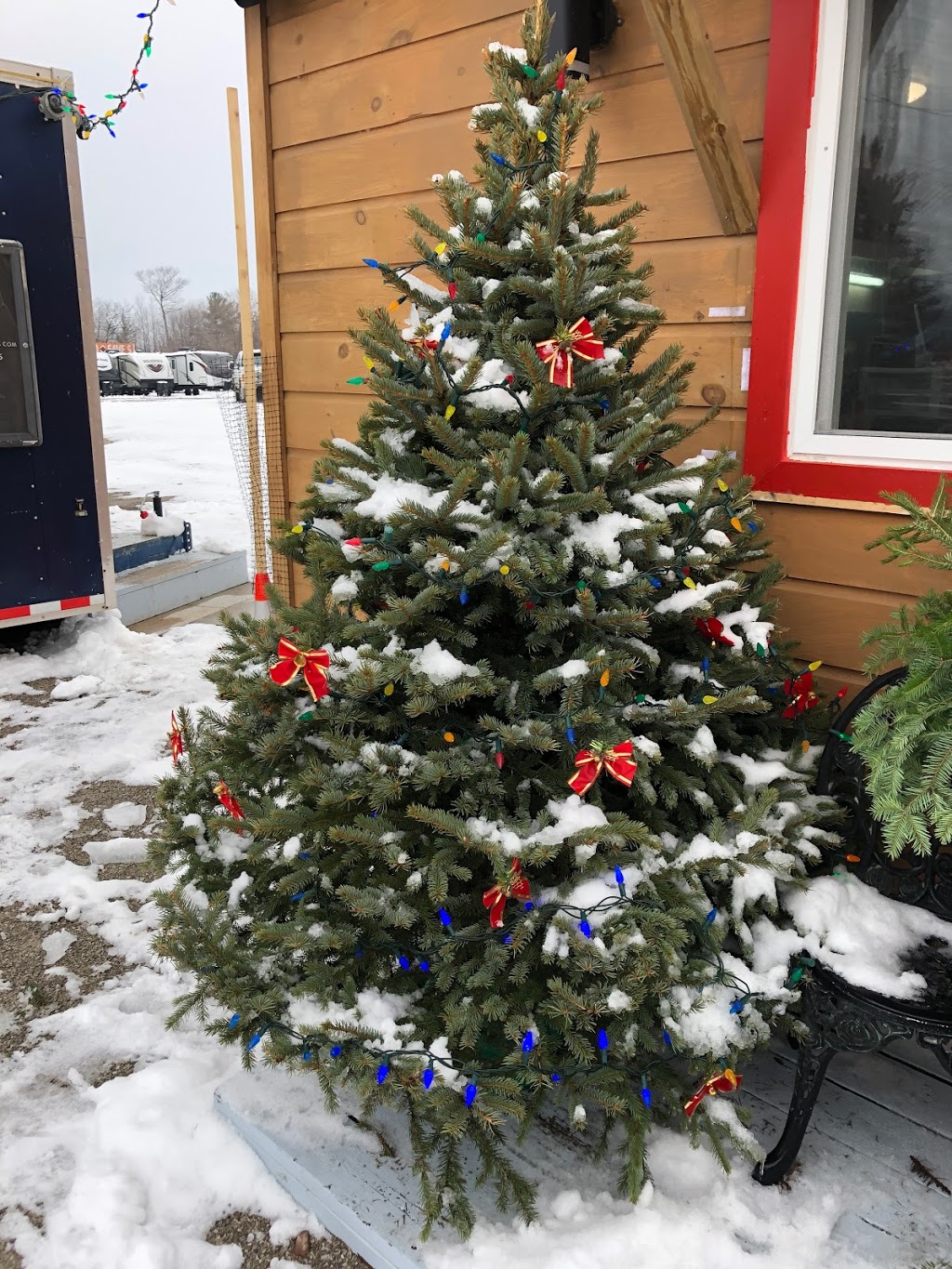 Captains Grill Christmas Tree Store | 7797 ON-11, Severn, ON L3V 0Z8, Canada | Phone: (705) 955-4745