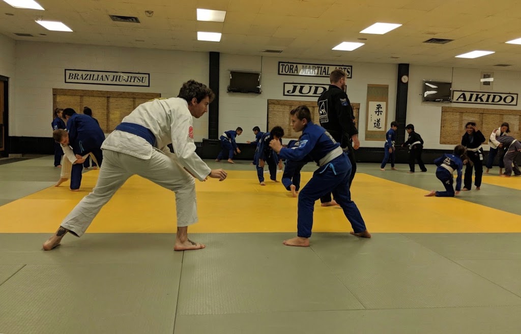 Georgetown Brazilian Jiu Jitsu Academy | 29 Armstrong Ave unit #4, Georgetown, ON L7G 4S1, Canada | Phone: (416) 230-9653