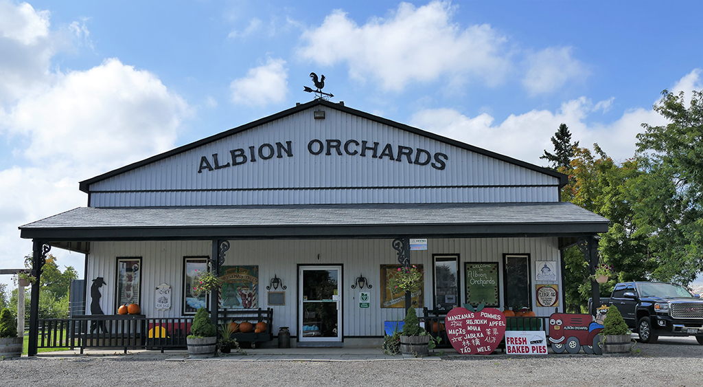 Albion Orchards & Country Market | 14800 Innis Lake Rd, Caledon East, ON L7C 2Y8, Canada | Phone: (905) 584-0354