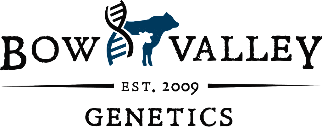 Bow Valley Genetics Ltd. | 170037 SH 550, Rosemary, AB T0J 2W0, Canada | Phone: (587) 887-1934