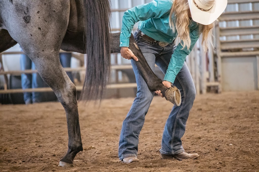 Rocking Heart Ranch Ltd. | Waterton Lakes National Park of Canada, Waterton Park, AB T0K 2M0, Canada | Phone: (403) 894-1005