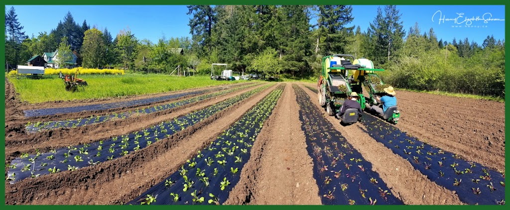 Cable Bay Farm | 13050 Porlier Pass Rd, Galiano Island, BC V0N 1P0, Canada | Phone: (250) 539-3008