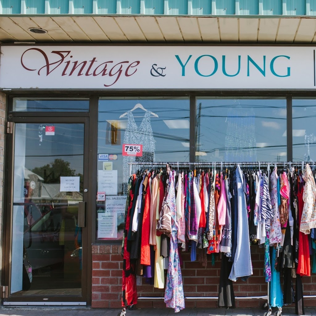 Vintage and Young | 1874 Scugog St Unit 4, Port Perry, ON L9L 1H6, Canada | Phone: (905) 982-0200